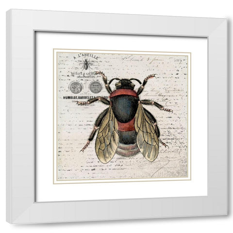 History Bee I White Modern Wood Framed Art Print with Double Matting by Smith, Karen