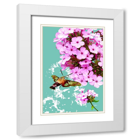 Clearwing On Flox White Modern Wood Framed Art Print with Double Matting by Evalia Designs