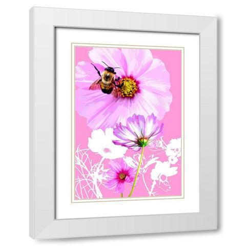 Bee on Cosmos White Modern Wood Framed Art Print with Double Matting by Evalia Designs