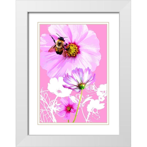 Bee on Cosmos White Modern Wood Framed Art Print with Double Matting by Evalia Designs