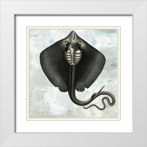 Oceaniana I White Modern Wood Framed Art Print with Double Matting by Smith, Karen