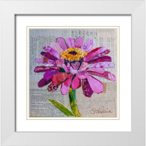 Z is for Zinnia White Modern Wood Framed Art Print with Double Matting by St Hilaire, Elizabeth