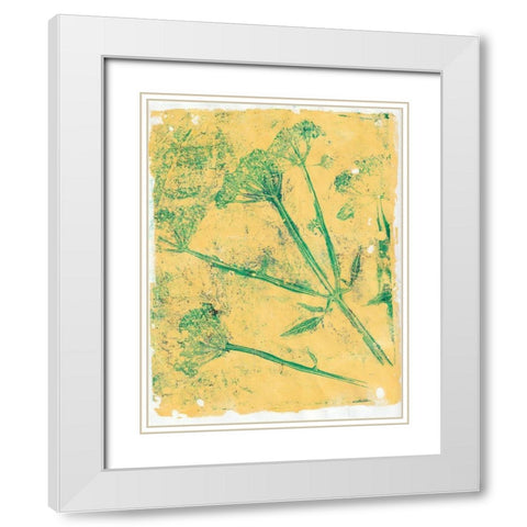 A Queen Anne I White Modern Wood Framed Art Print with Double Matting by St Hilaire, Elizabeth