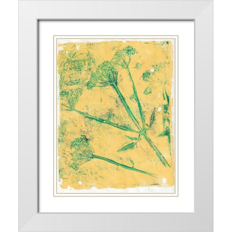 A Queen Anne I White Modern Wood Framed Art Print with Double Matting by St Hilaire, Elizabeth