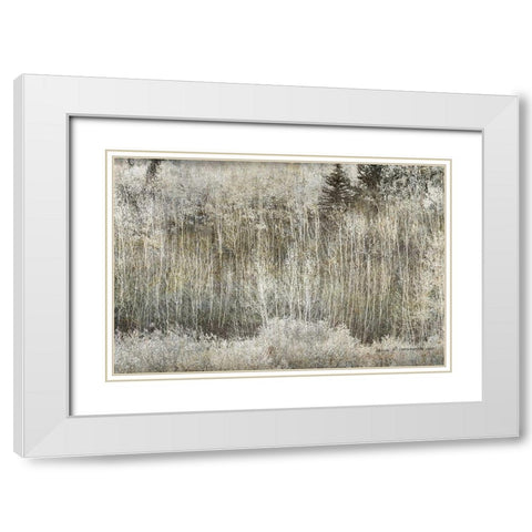 Aspen Willow leaves Abstract White Modern Wood Framed Art Print with Double Matting by Vest, Christopher