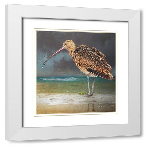 Blissful Curlew White Modern Wood Framed Art Print with Double Matting by Vest, Christopher