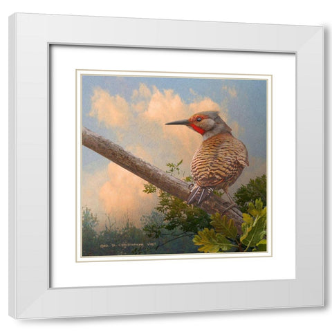 Flicker at Sunset White Modern Wood Framed Art Print with Double Matting by Vest, Christopher