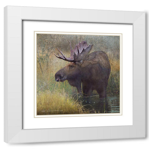 Moose in Marsh White Modern Wood Framed Art Print with Double Matting by Vest, Christopher