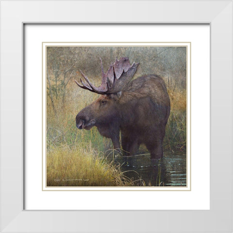 Moose in Marsh White Modern Wood Framed Art Print with Double Matting by Vest, Christopher