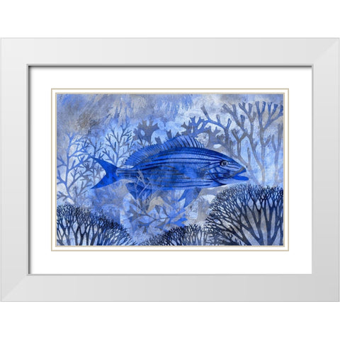 Underwater Paradise II White Modern Wood Framed Art Print with Double Matting by Haase, Andrea