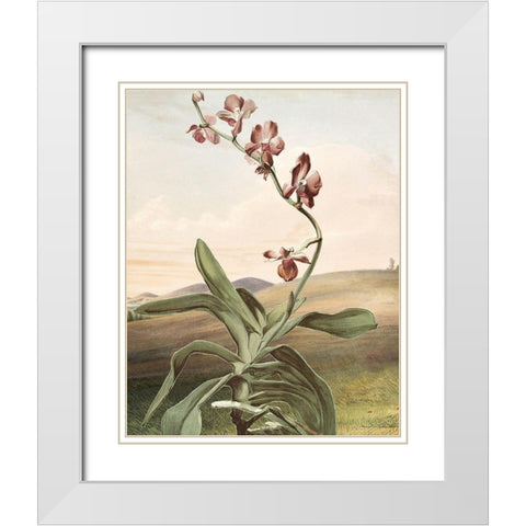 Wild Shoot I White Modern Wood Framed Art Print with Double Matting by Smith, Karen