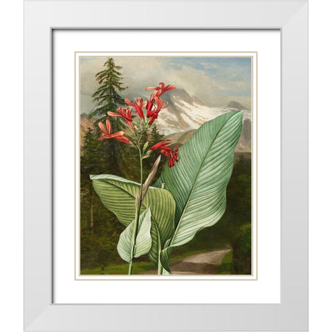 Wild Shoot II White Modern Wood Framed Art Print with Double Matting by Smith, Karen