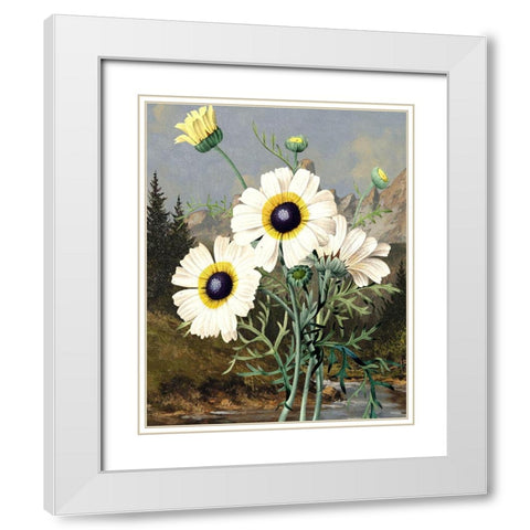 Wild Shoot III White Modern Wood Framed Art Print with Double Matting by Smith, Karen