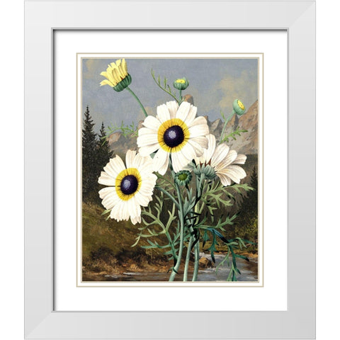 Wild Shoot III White Modern Wood Framed Art Print with Double Matting by Smith, Karen