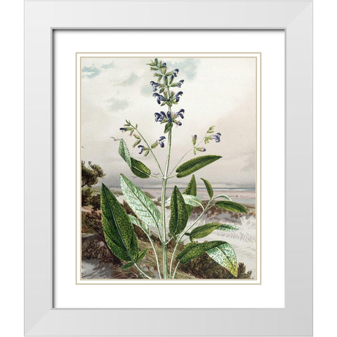 Wild Shoot IV White Modern Wood Framed Art Print with Double Matting by Smith, Karen