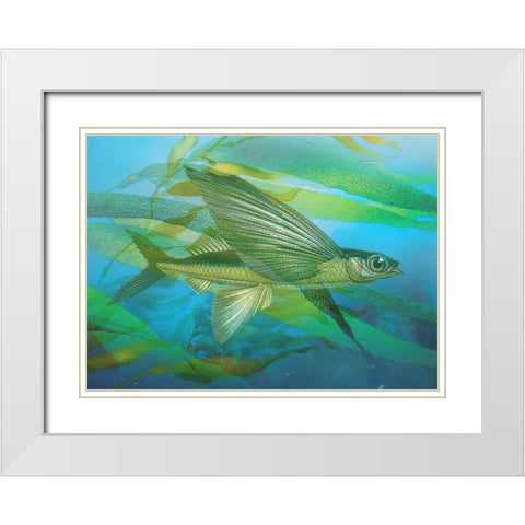 Seaweed Swimmer I White Modern Wood Framed Art Print with Double Matting by Hunziker, Steve