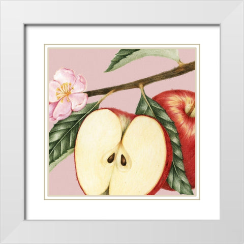 JuiceyFruit IV White Modern Wood Framed Art Print with Double Matting by Hunziker, Steve