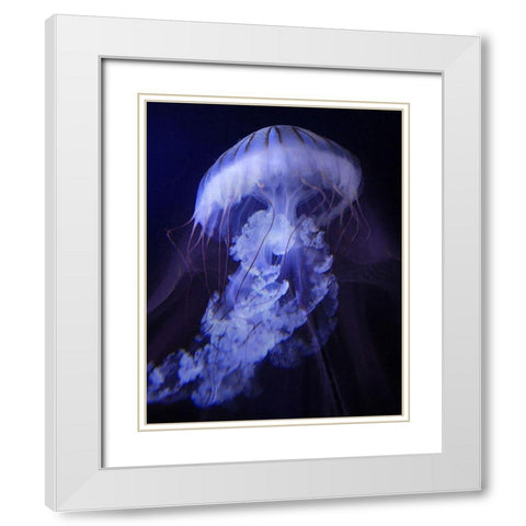 Gelatinaous I White Modern Wood Framed Art Print with Double Matting by Hunziker, Steve