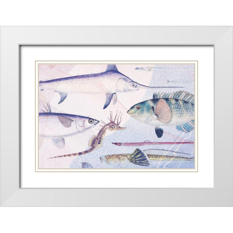 Deep Sea VI White Modern Wood Framed Art Print with Double Matting by Hunziker, Steve