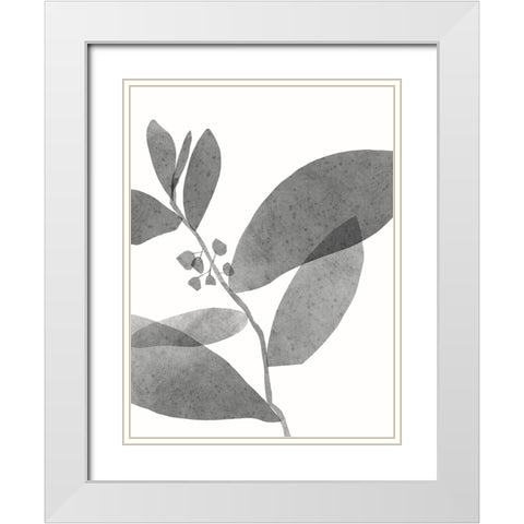 New Roots II White Modern Wood Framed Art Print with Double Matting by Holman, Nicholas