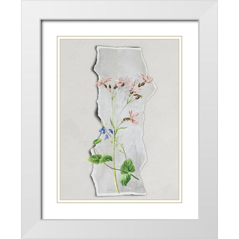 In the Strip II White Modern Wood Framed Art Print with Double Matting by Smith, Karen