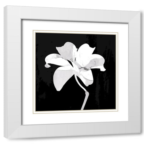 Chalkstalk I White Modern Wood Framed Art Print with Double Matting by Smith, Karen