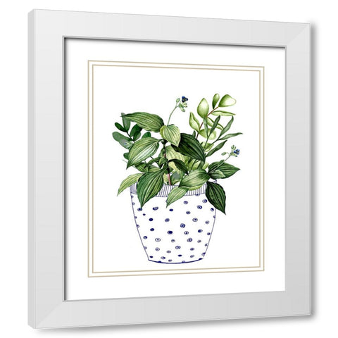 In the Pot I White Modern Wood Framed Art Print with Double Matting by Smith, Karen