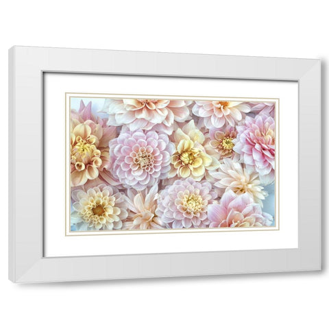 Dahlia Tapestry I White Modern Wood Framed Art Print with Double Matting by Stalus, Judy