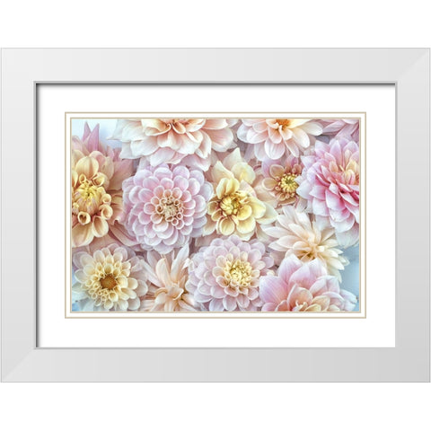 Dahlia Tapestry I White Modern Wood Framed Art Print with Double Matting by Stalus, Judy