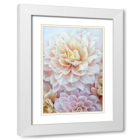 Dahlia Dream White Modern Wood Framed Art Print with Double Matting by Stalus, Judy