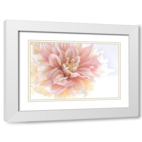 Sunburst White Modern Wood Framed Art Print with Double Matting by Stalus, Judy