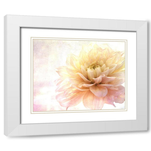 Golden Touch White Modern Wood Framed Art Print with Double Matting by Stalus, Judy
