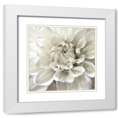 White Morning White Modern Wood Framed Art Print with Double Matting by Stalus, Judy