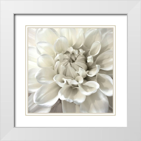 White Morning White Modern Wood Framed Art Print with Double Matting by Stalus, Judy