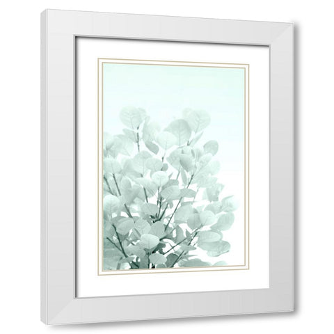 Sweet Shrub White Modern Wood Framed Art Print with Double Matting by Stalus, Judy