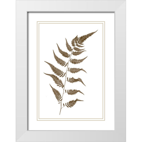 Fern White Modern Wood Framed Art Print with Double Matting by Stalus, Judy