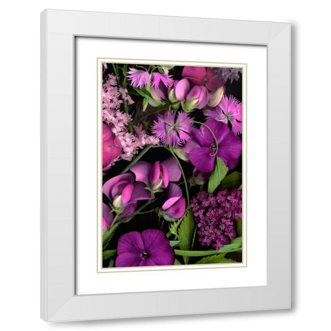 Sweet Pea Tapestry White Modern Wood Framed Art Print with Double Matting by Stalus, Judy