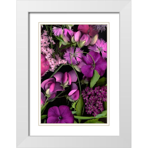 Sweet Pea Tapestry White Modern Wood Framed Art Print with Double Matting by Stalus, Judy