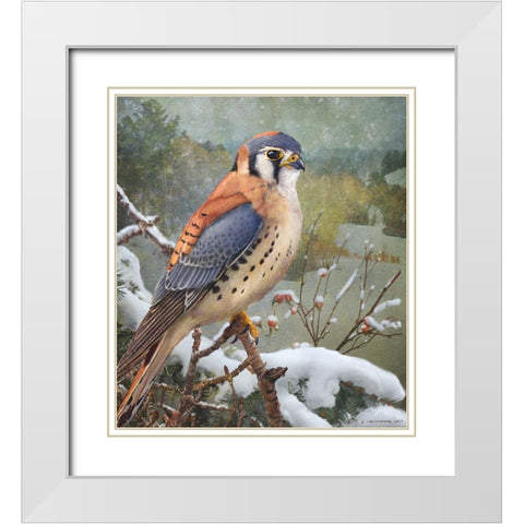 In Snowscape Kestrel White Modern Wood Framed Art Print with Double Matting by Vest, Christopher
