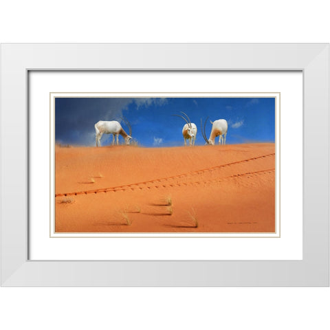 Scimitar Orxyes Restored White Modern Wood Framed Art Print with Double Matting by Vest, Christopher