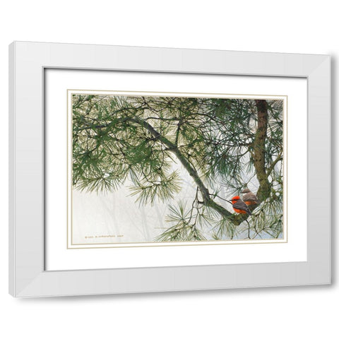 Bent Pine Bough with Vermillion Flycatchers White Modern Wood Framed Art Print with Double Matting by Vest, Christopher