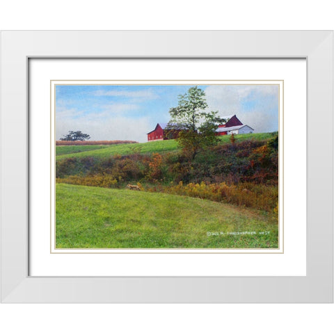 Ohio Barn with Red Fox White Modern Wood Framed Art Print with Double Matting by Vest, Christopher