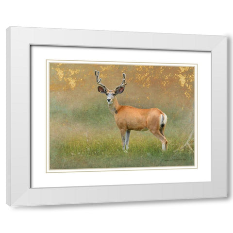 High Summer Velvet Buck Deer White Modern Wood Framed Art Print with Double Matting by Vest, Christopher