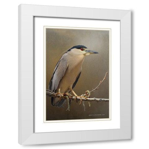Night Heron in spring White Modern Wood Framed Art Print with Double Matting by Vest, Christopher