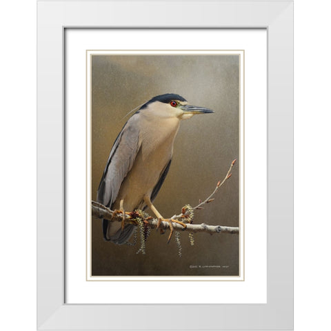 Night Heron in spring White Modern Wood Framed Art Print with Double Matting by Vest, Christopher