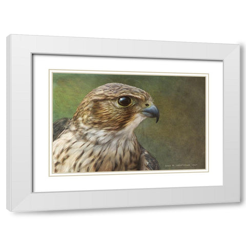 Merlin Portrait White Modern Wood Framed Art Print with Double Matting by Vest, Christopher