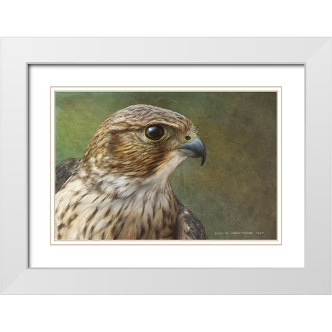 Merlin Portrait White Modern Wood Framed Art Print with Double Matting by Vest, Christopher