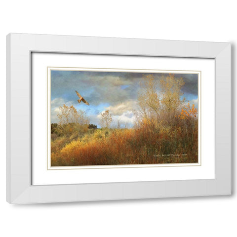 Willow Cottonwood Gulley White Modern Wood Framed Art Print with Double Matting by Vest, Christopher