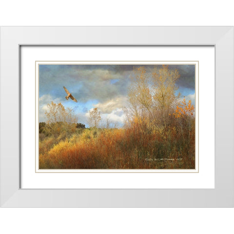 Willow Cottonwood Gulley White Modern Wood Framed Art Print with Double Matting by Vest, Christopher