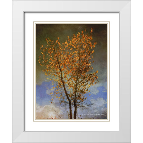 Lone Cottonwood Tree White Modern Wood Framed Art Print with Double Matting by Vest, Christopher